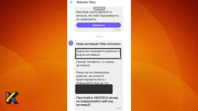 Fraudulent schemes summer 2024