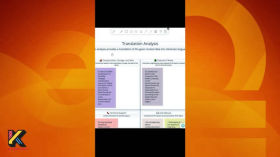 Utility for all occasions