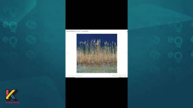 OSINT. Finding the Location of a Photo