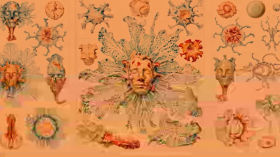 The Art of World Building: The Little Martians Project