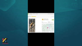 OSINT. Identifying Flora and Fauna