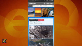 Identification of Nature. Part 2