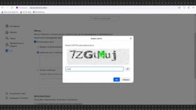 How to bridge the Tor Browser