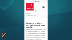 Analysis of a face in a photo